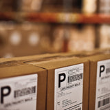 DYMO LabelWriter Extra Large Shipping Labels Shipping etiketter 104 x 159 mm 220etikette(r) S0904980