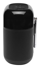 JBL Tuner XL DAB bærbar radio Fabriksny
