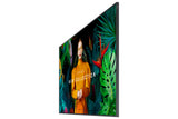 Samsung QBC Series QB65C 65 4K UHD (2160p)