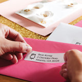DYMO LabelWriter Adresseetiketter 36 x 89 mm 520etikette(r) S0722400
