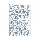 Introductory set (ENG) - Warhammer Age of Sigmar